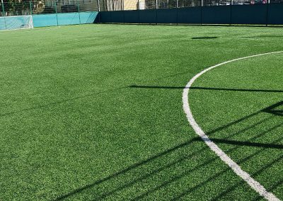 Artificial Futsal field care